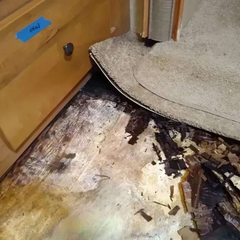 Wood Floor Water Damage in Davidson County, TN